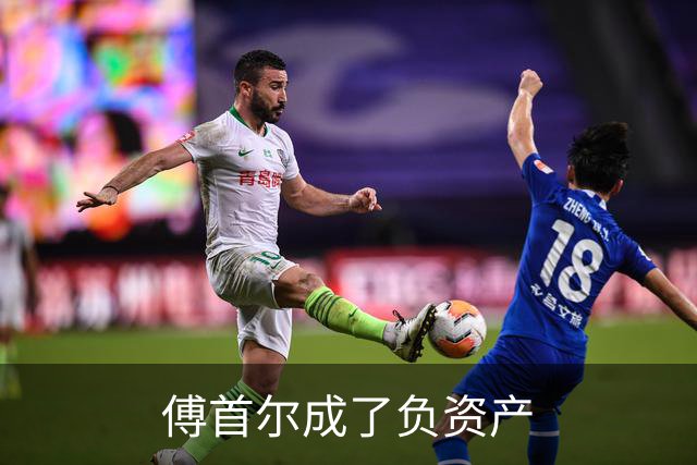 傅首尔成了负资产