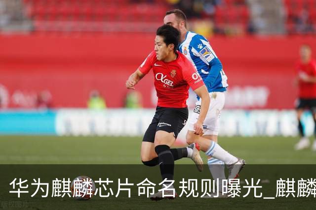 华为麒麟芯片命名规则曝光 麒麟9025新机或月底亮相