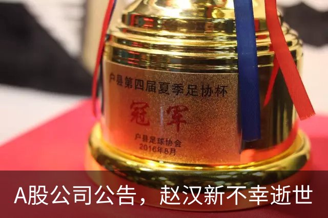 A股公司公告，赵汉新不幸逝世